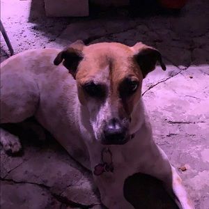 Meet your Posher, Dania